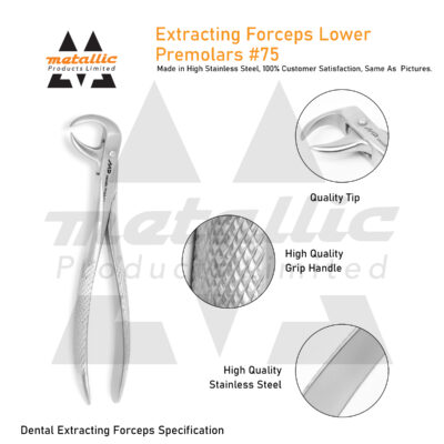 Extracting Forceps Lower Premolars #75 – Dental Instrument