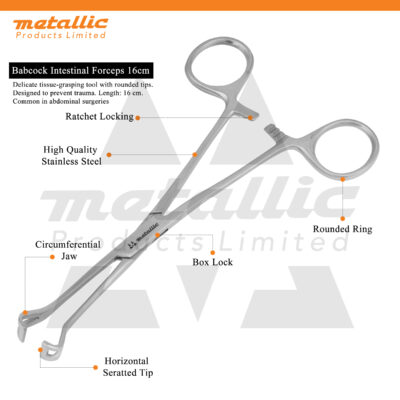 Babcock Intestinal Forceps 16cm – Premium Stainless Steel Surgical Instrument