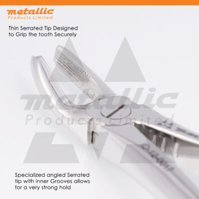 Extracting Forceps Fig.13 – Precision Dental Extraction Tool