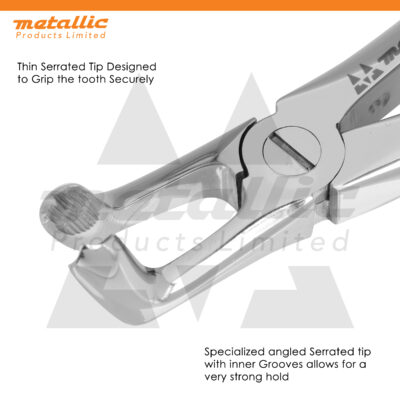 Extracting Forceps Fig.79 – Precision Dental Tool for Safe Tooth Extractions