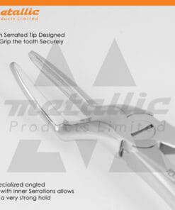 Extracting Forceps Fig.51L – Precision Dental Tool