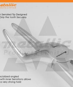 Extracting Forceps Fig.51 – Precision Dental Tool for Safe Tooth Removal