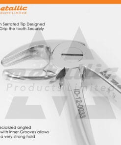 Extracting Forceps Fig.33 – Precision Dental Tool for Safe Extractions
