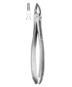 Extracting Forceps Fig.1 – Precision Dental Tool