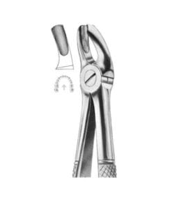 Extracting Forceps Fig.18 – Precision Dental Extraction Tool