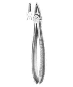 Extracting Forceps Fig.29 – Precision Dental Extraction Tool