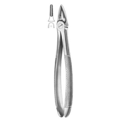 Extracting Forceps Fig.29 – Precision Dental Extraction Tool