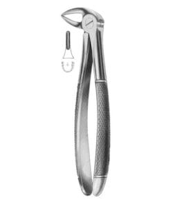 Extracting Forceps Fig.33 – Precision Dental Tool for Safe Extractions