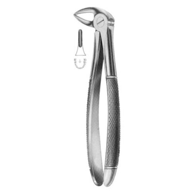 Extracting Forceps Fig.33 – Precision Dental Tool for Safe Extractions