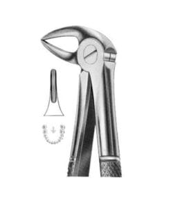 Extracting Forceps Fig.33A – Precision Dental Tool