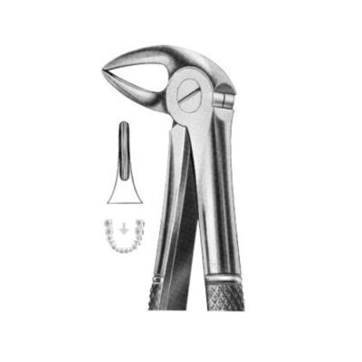 Extracting Forceps Fig.33A – Precision Dental Tool