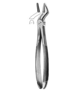 Extracting Forceps Fig.51 – Precision Dental Tool for Safe Tooth Removal