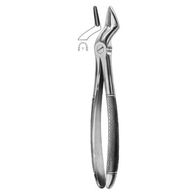 Extracting Forceps Fig.51 – Precision Dental Tool for Safe Tooth Removal