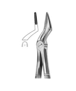 Extracting Forceps Fig.51L – Precision Dental Tool