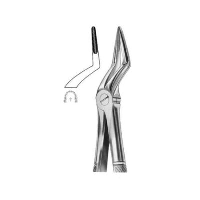 Extracting Forceps Fig.51L – Precision Dental Tool