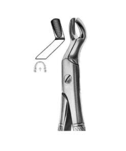 Extracting Forceps Fig.67 – Precision Dental Extraction Tool