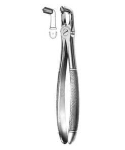 Extracting Forceps Fig.79 – Precision Dental Tool for Safe Tooth Extractions