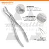 Extracting Forceps English Pattern No.67A