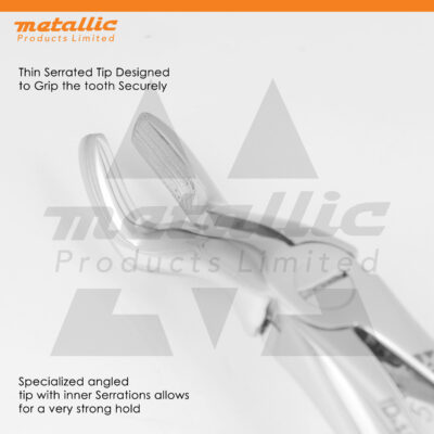 Extracting Forceps English Pattern No.67A