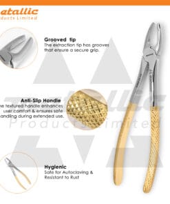 dental extracting forceps #2 UK, gold handle dental extraction forceps, stainless steel dental tools UK, upper lateral incisor forceps, reusable dental forceps UK, precision extraction instruments UK, dental extraction pliers