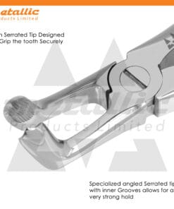 tooth extraction forceps fig 79 UK, dental upper molar extractor stainless steel, fig 79 dental extraction tool UK, upper molar forceps stainless steel, professional dental extraction forceps UK, reusable extraction tool stainless, fig 79 oral surgery forceps UK