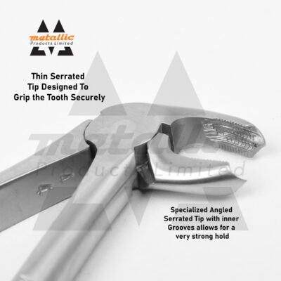 dental extracting forceps #22 UK, english pattern extraction forceps, dull finish dental forceps, stainless steel dental tool UK, lower molar extraction forceps #22, reusable surgical dental pliers, professional dental instruments UK