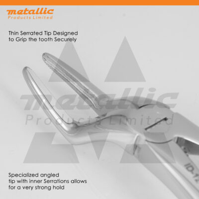 tooth extraction forceps fig 51 UK, fig 51 dental forceps stainless, upper molar extraction tool UK, gold handle dental forceps, dental extraction instrument UK, surgical dental tools UK, reusable dental forceps stainless, professional tooth extractor fig 51, dentist surgical instruments UK