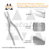 dental extracting forceps fig 1 UK, american pattern dental forceps, upper incisor extraction tool, stainless steel dental forceps fig 1, reusable extraction pliers UK, dental root removal forceps, surgical dental extraction tools UK